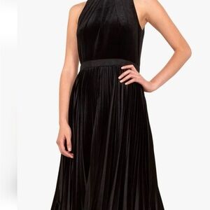Ted Baker London Black Velvet Pleated Midi Dress-UK Sz 2, NWT